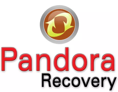 como recuperar archivos borrados Pandora Recovery 1