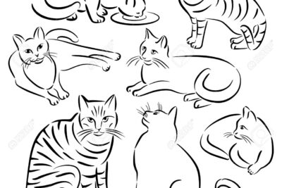 Aprende cómo se dice "cat" en español y amplía tu vocabulario felino