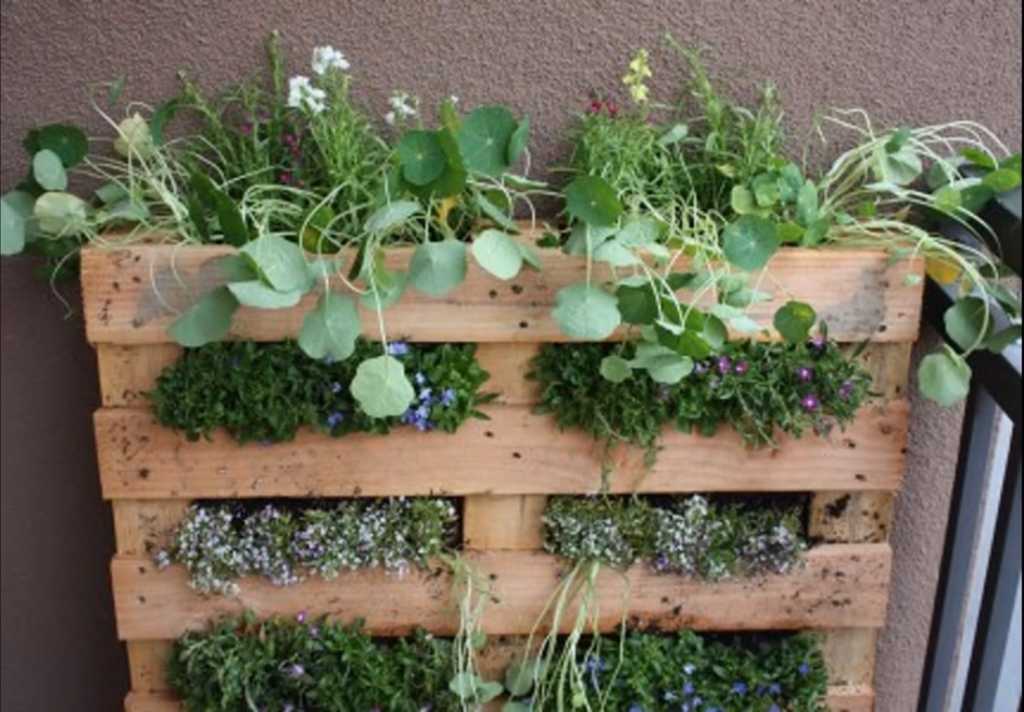 Plantas en un huerto vertical