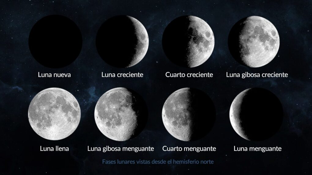 Fase lunar actual