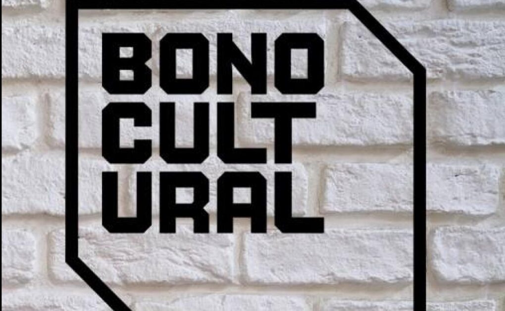 Guía paso a paso: Cómo solicitar el bono cultural 2025 en tu comunidad 9 Logo oficial del bono cultural