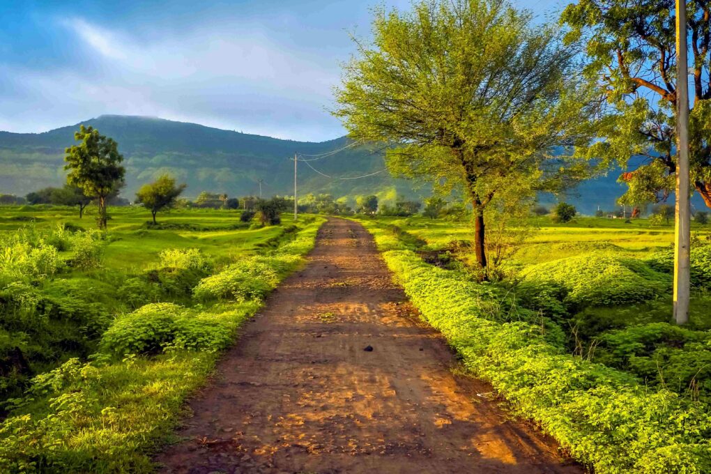 Paisaje rural del Camino
