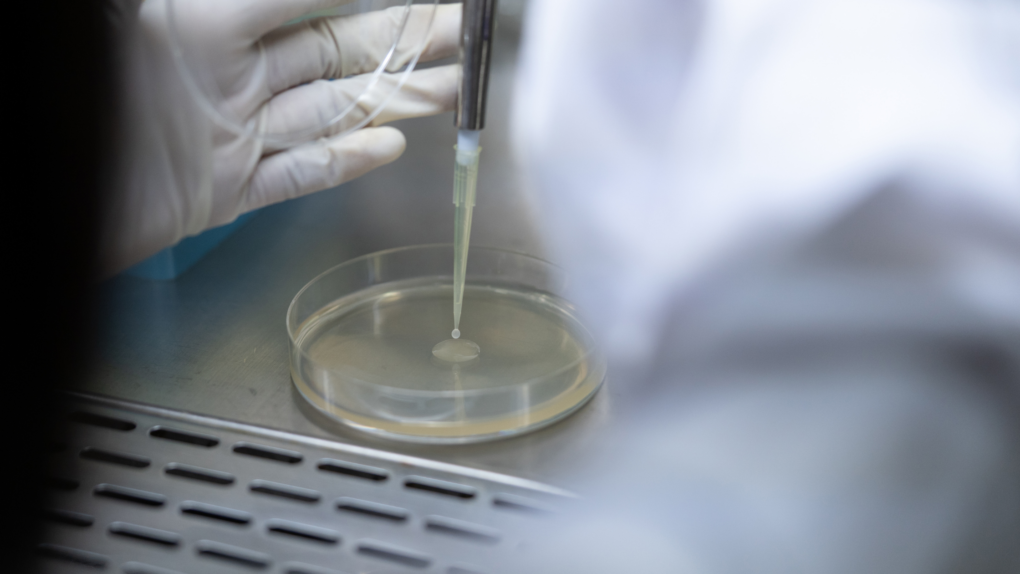 Configura Google Fotos en la nube de forma rápida y sencilla 27 Configuración de calidad de medios