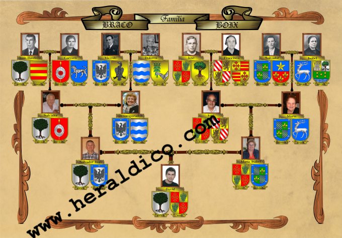 5 pasos para hacer un mapa de apellidos en tu árbol genealógico 15 Árbol genealógico con apellidos