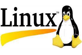 La historia de Torvalds Linus y la creación de Linux: descúbrela ahora 18 Logo de Linux