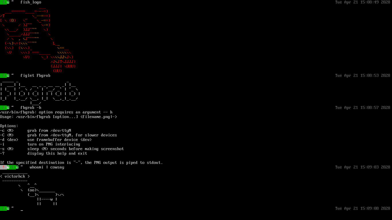 Aprende a configurar un chat online en IRC paso a paso: guía completa 11 Captura de pantalla del servidor