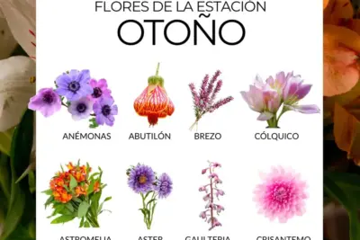 Consejo para un jardín florido todo el año ¡Descúbrelo!