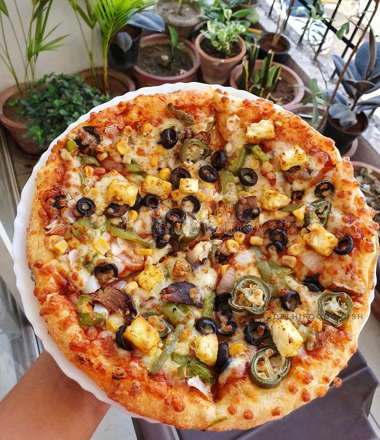 Descubre cómo obtener una pizza gratis en Telepizza ¡Solo por hoy! 19 Pizza deliciosa y tentadora