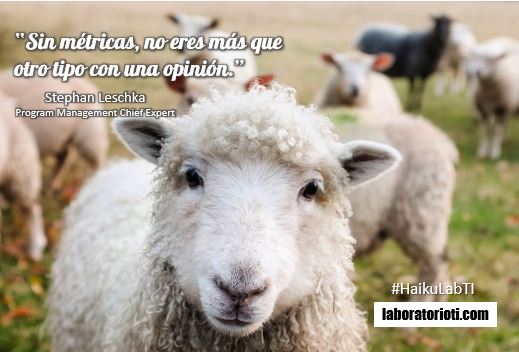 Explora ciudades en 3D en Google Maps y sorpréndete 16 Disfruta la experiencia sin métricas