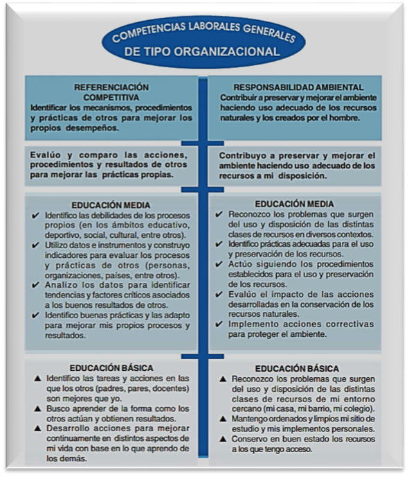 Alcanza la vida laboral de tus sueños en 5 pasos fáciles 14 Habilidades laborales en acción
