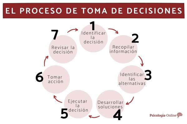 Pasos del proceso