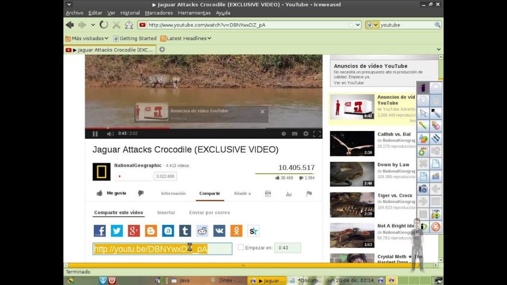 Descarga videos de Facebook en solo unos pasos ¡Aprende cómo! 11 URL del video