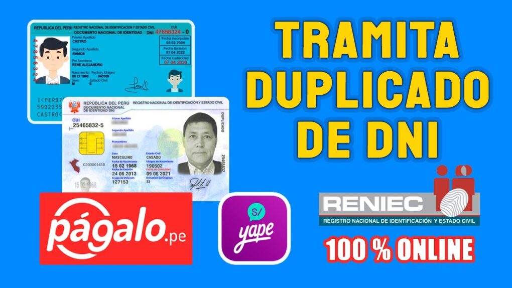 Cómo tramitar cita online para renovar DNI perdido: Guía paso a paso 16 Renovación de DNI perdido