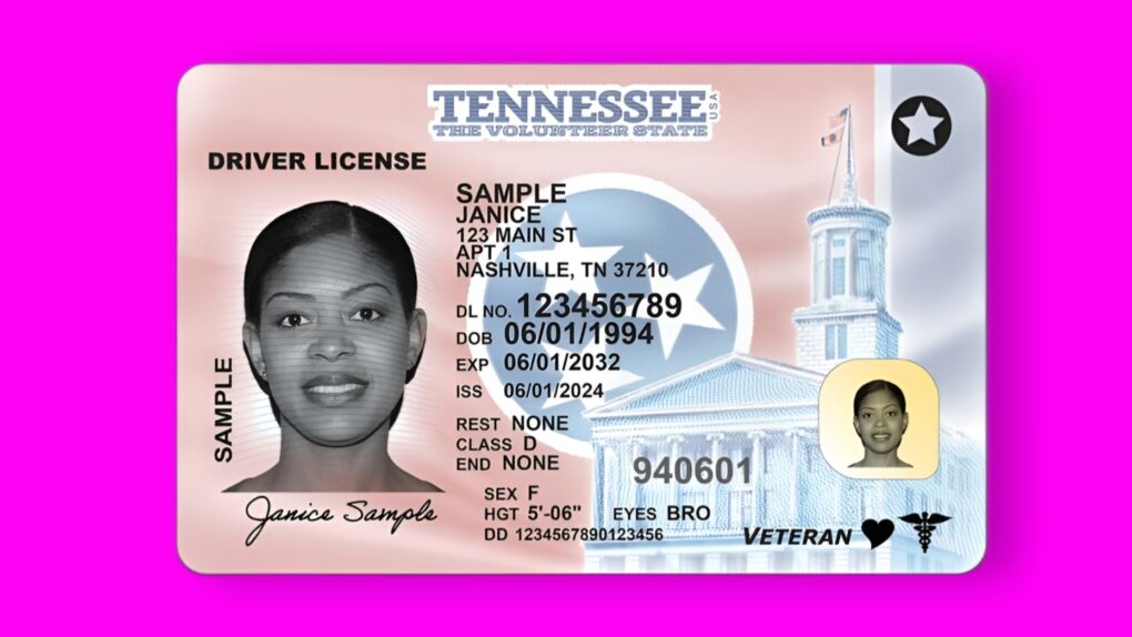 Licencia de la imagen